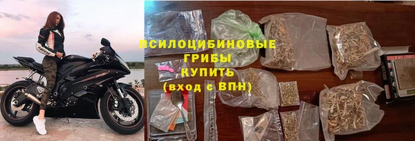 СК Аркадак