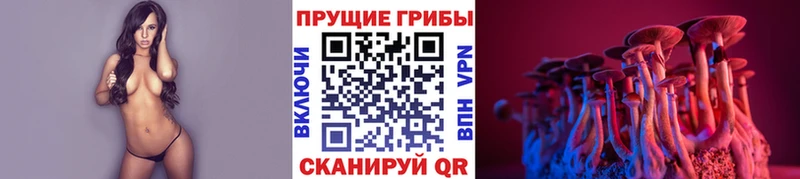 Псилоцибиновые грибы Psilocybe  Каспийск 